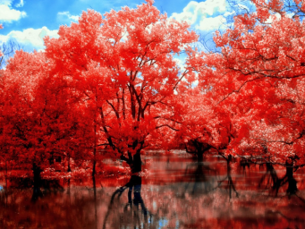 黄金：3000之上还有高!