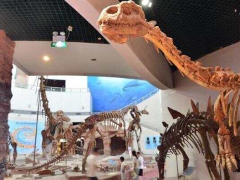 福州：“恐龙世界”吸引参观者