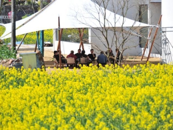 （乡村行·看振兴）三峡坝库区“村游”热力十足